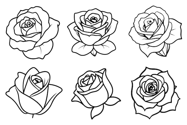 arte de línea rosa