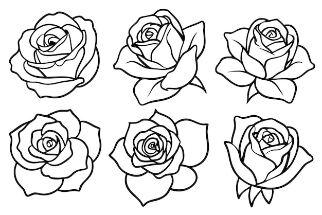 arte de línea rosa