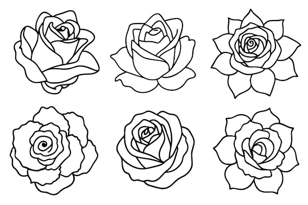 arte de línea rosa