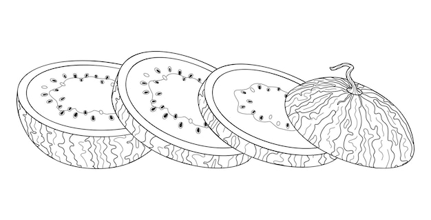 Arte de línea de sandía picada dibujado a mano estilo doodle cortado libro de colorear frutas