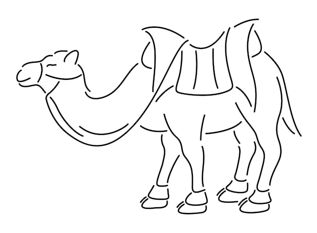Arte de línea con silueta de camello de dibujos animados aislado