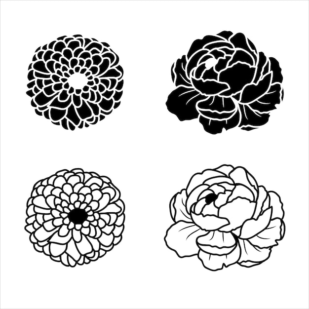 Vector arte de línea y silueta de peonía vectorial y zinnia