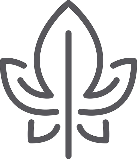 Arte de línea simple y limpio que muestra una hoja simétrica que representa la conciencia ambiental que promueve los productos orgánicos y destaca las prácticas ecológicas y la sostenibilidad