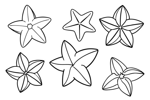 Arte de la línea de Starfruit dibujo simple y elegante