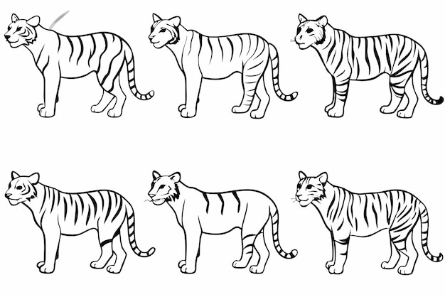 Arte de la línea del tigre