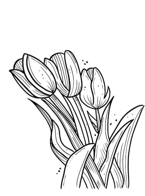 Vector arte de línea de vector de flor para diseño de invitación