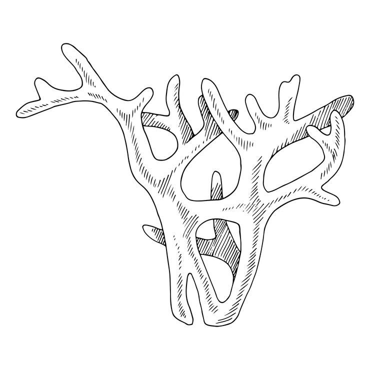 Vector arte de línea vectorial de coral contorno de arrecife marino dibujado a mano en blanco y negro clip gráfico de planta oceánica submarina dibujo lineal en fondo aislado ilustración de contorno esbozo de vida marina