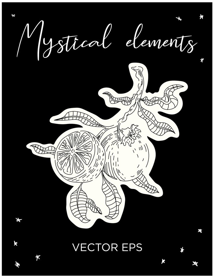 Arte de línea vectorial de la rama de naranja mística Perfecto para tatuajes, impresiones, marcas y diseños espirituales