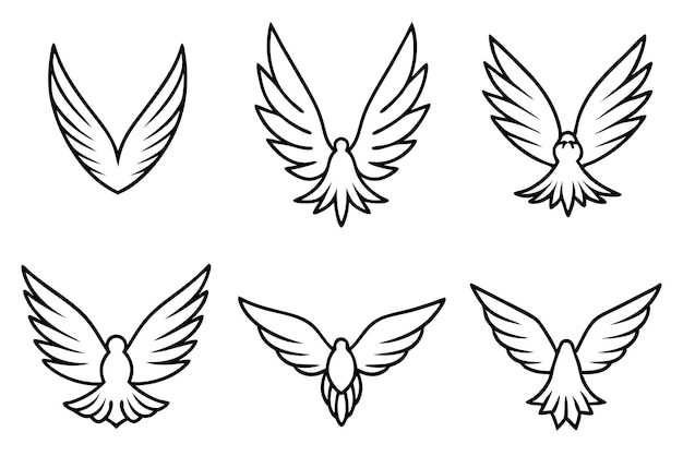 Arte de la línea de vuelo emplumado Creación de elegancia aviar