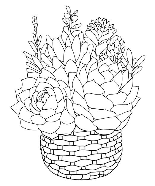 Arte lineal dibujado a mano Cactus suculentos y ramo de cactus con maceta de árbol de piedra Página del libro para colorear