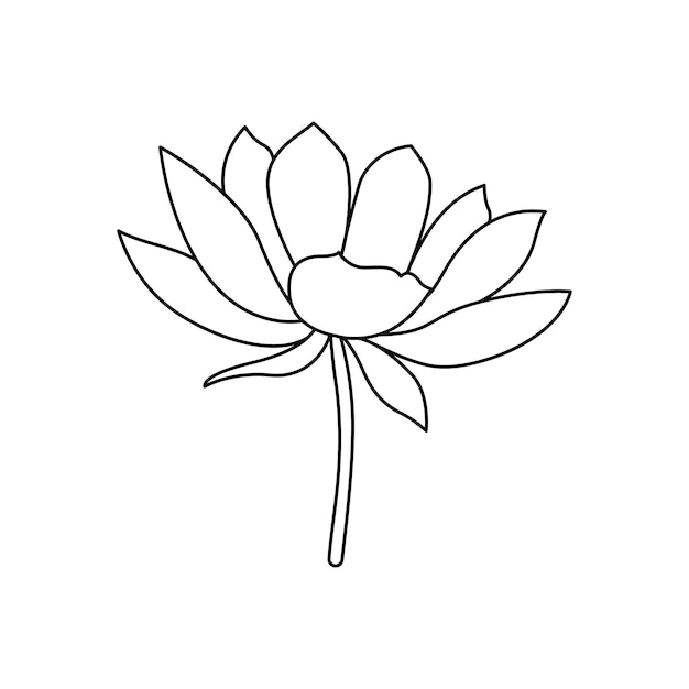 Arte lineal de flor de loto dibujo de contorno minimalista