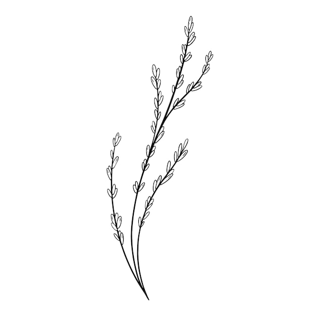Vector arte lineal de flores diseño de arte lineal de flores silvestres arte lineal de hierba dibujos botánicos