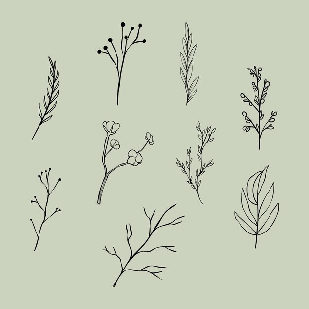 Arte lineal de hoja simple 1