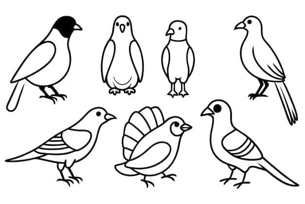 Arte de líneas de aves