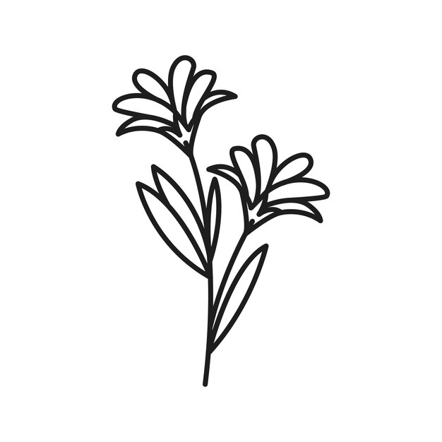 Arte de líneas de flores silvestres de hoja botánica vectorial