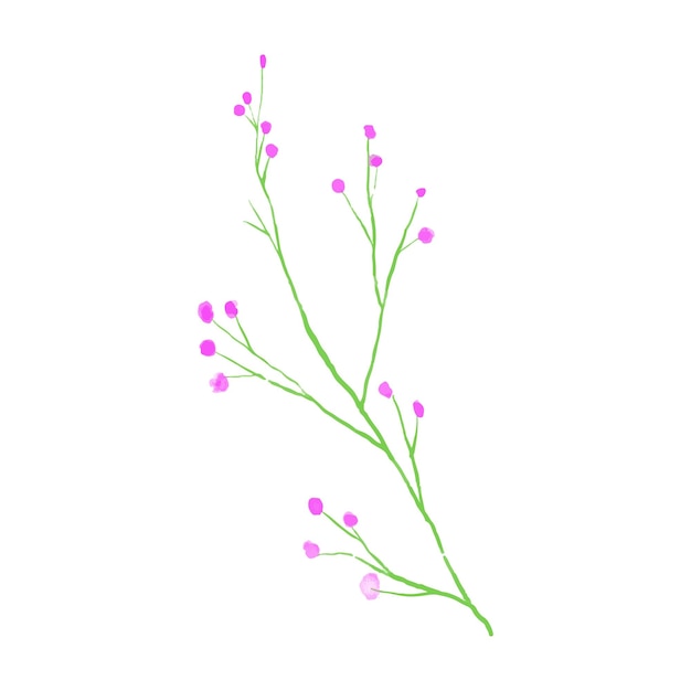 Arte de líneas de flores silvestres en hojas botánicas