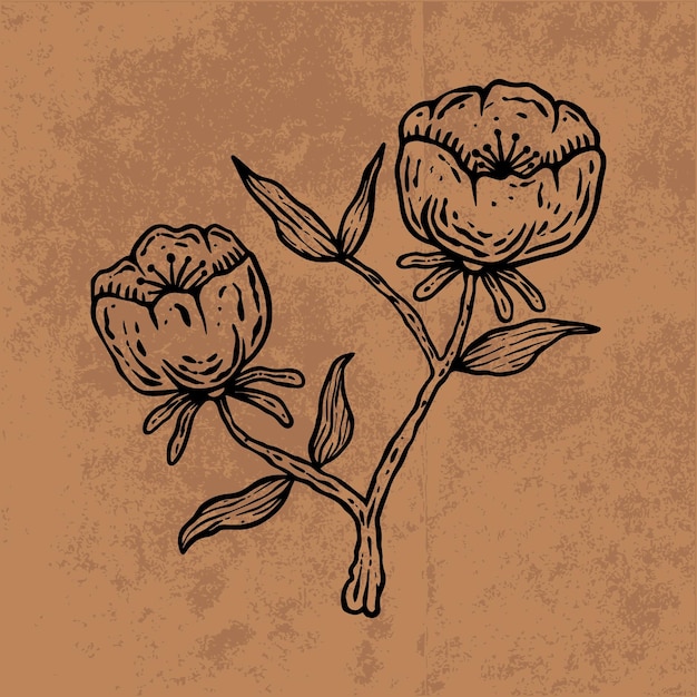 Arte de líneas de flores silvestres en hojas botánicas