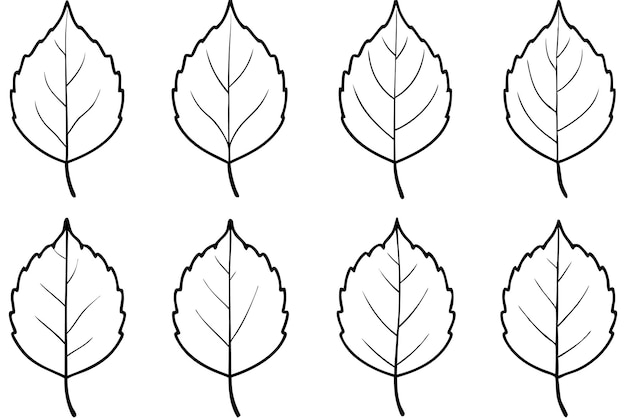Arte de líneas de hojas de abeto que destaca el encanto del follaje de abeto con líneas