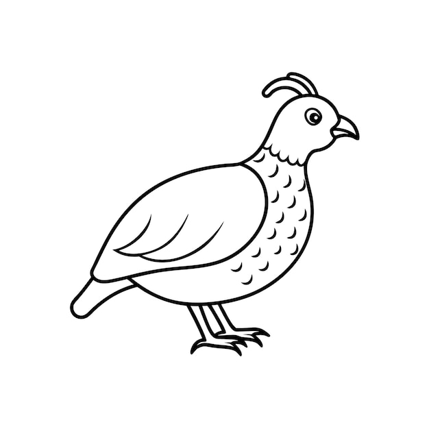 Arte de líneas y ilustración de silueta de Cute Quail Vector