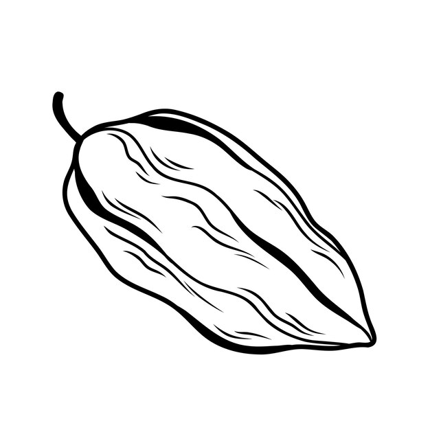 Arte de líneas monocromo Ilustración vectorial de la vaina de cacao entera