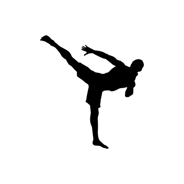 arte marcial karate practicando imagen de silueta