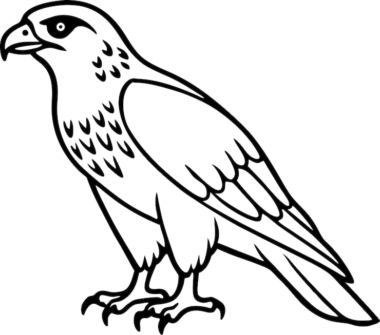 Vector el arte minimalista de la línea hawk