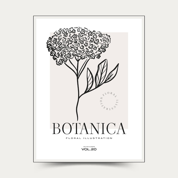 Arte mural abstracto botánico. Colección de carteles de vector floral.