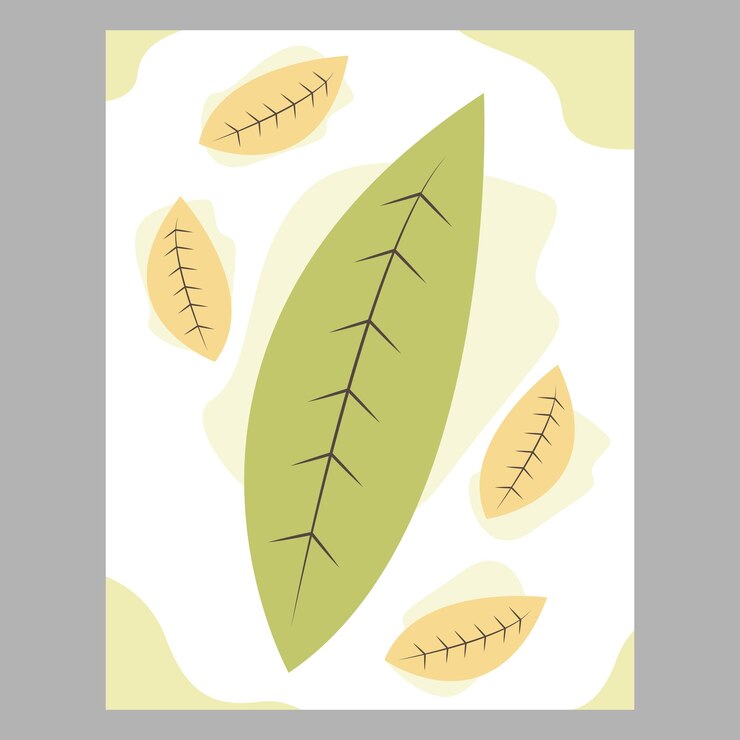 Vector arte mural botánico el arte de dibujar hojas con formas abstractas