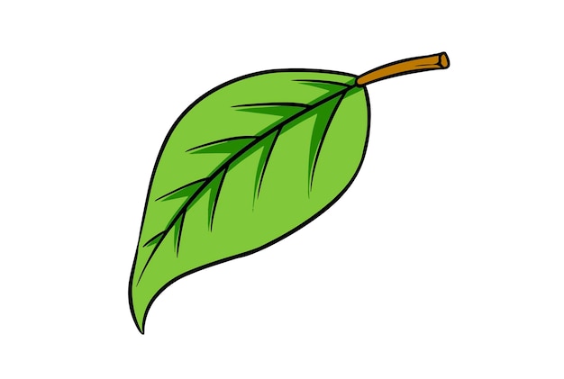 Arte de la naturaleza de la hoja