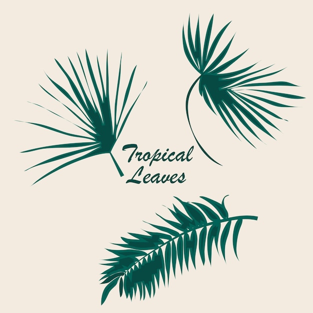 arte de patrón de hojas de palma tropical