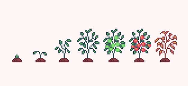 Arte de píxeles de progreso de crecimiento de plantas de tomate. etapas de germinación de retoños sprite de 8 bits.