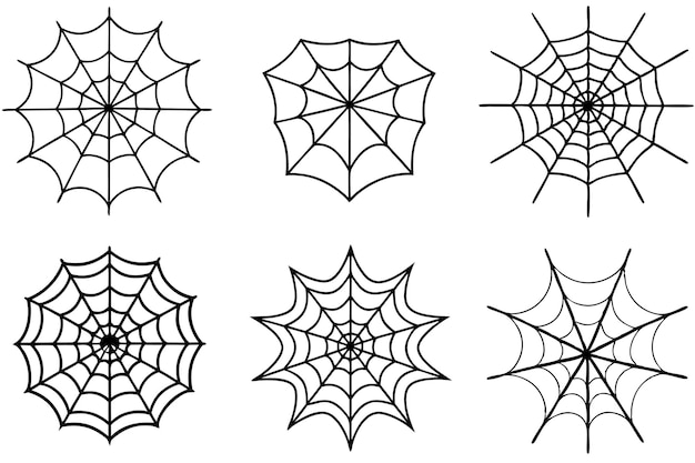 Arte de la red de araña Diseños artísticos perfectos