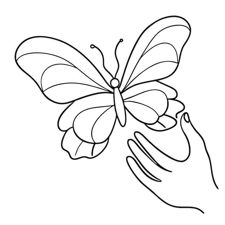 Vector arte de una sola línea para colorear página de mariposa hermosa