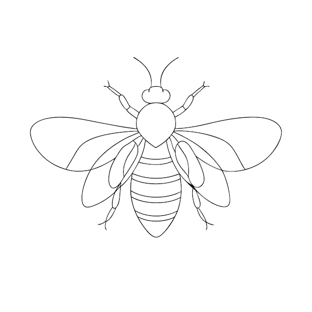 arte de una sola línea para un libro de colorear
