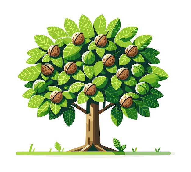 Arte vectorial de árboles de nueces de amplio dosel