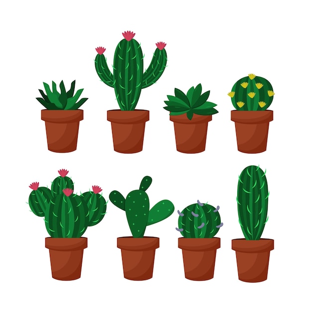 arte vectorial de cactus