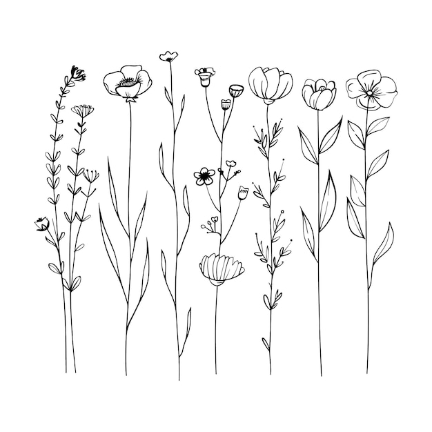 arte vectorial de color negro con conjunto de patrones de flores