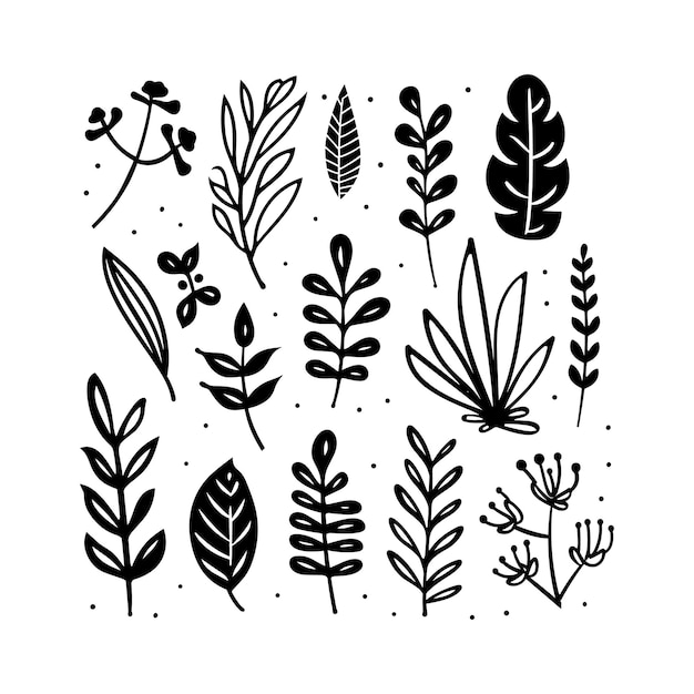 arte vectorial de color negro con conjunto de patrones de flores