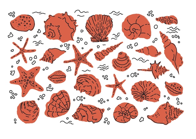 Arte vectorial de conchas rojas texturizadas