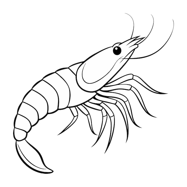 Arte vectorial creativo de camarón en blanco y negro