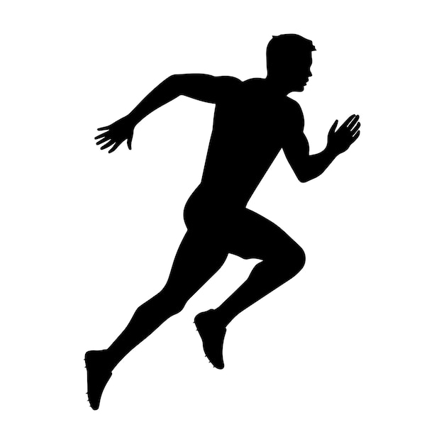 Arte vectorial en ejecución