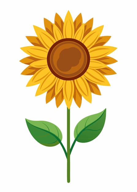 Arte vectorial de girasol sobre un fondo blanco