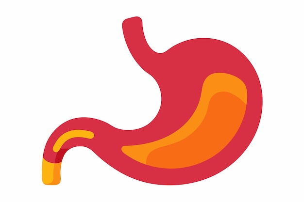 Arte vectorial y ilustración del clipart del estómago