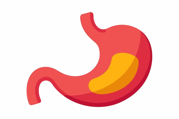 Arte vectorial y ilustración del clipart del estómago