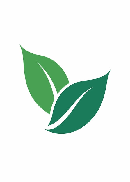 Arte vectorial de logotipo de hoja minimalista en fondo blanco