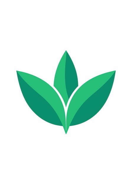 Arte vectorial de logotipo de hoja minimalista en fondo blanco