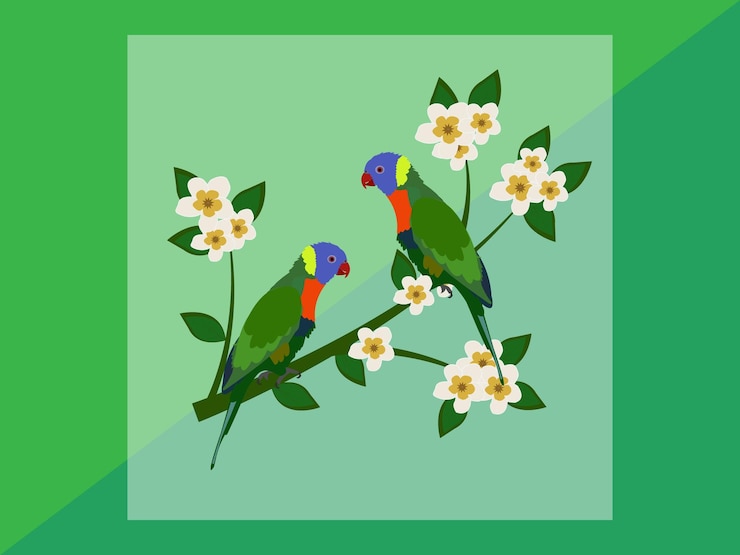 Vector arte vectorial de loros loros coloridos