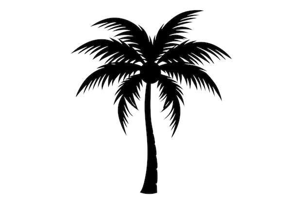 Arte vectorial de palmeras Ilustración vectorial detallada de palmeras