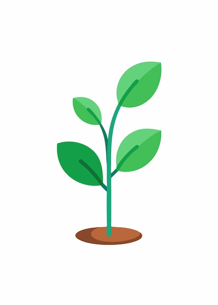 Arte vectorial de una planta pequeña sobre un fondo blanco