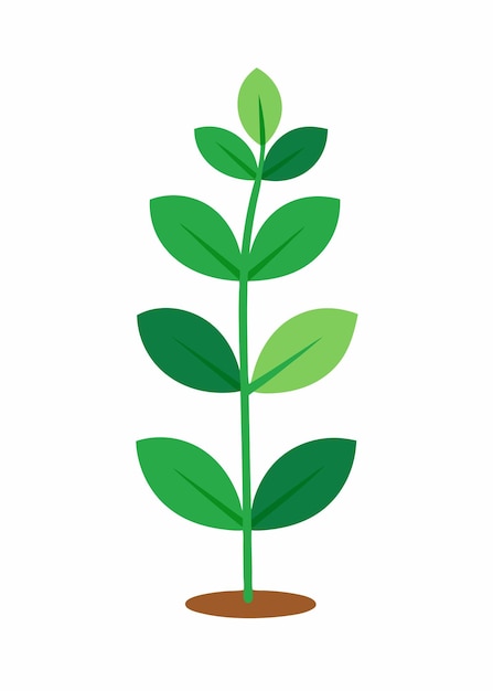 Arte vectorial de una planta pequeña sobre un fondo blanco